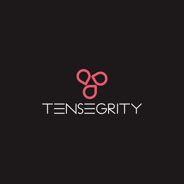 텐세그리티 (Tensegrity) 로고+명함 디자인 1위 수상작