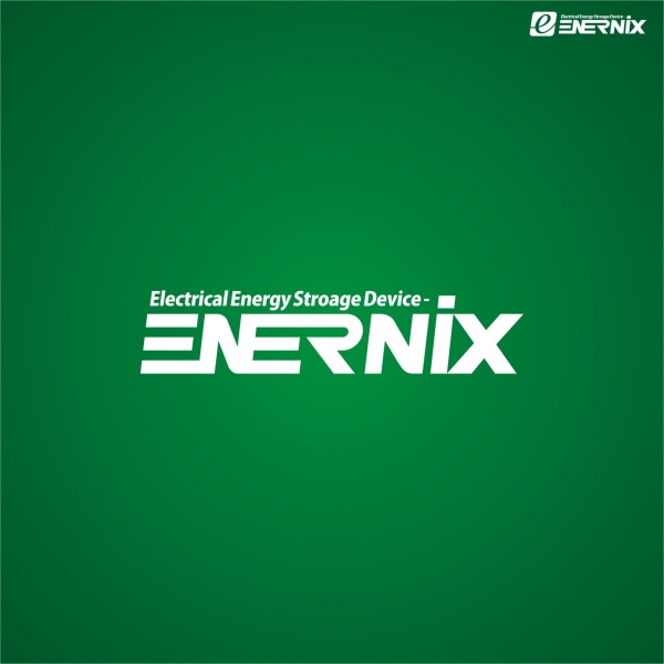 주식회사에너닉스(ENERNIX CO., LTD) 로고+명함 디자인 1위 수상작
