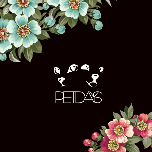 PETDAYS 일러스트/그래픽 디자인 1위 수상작