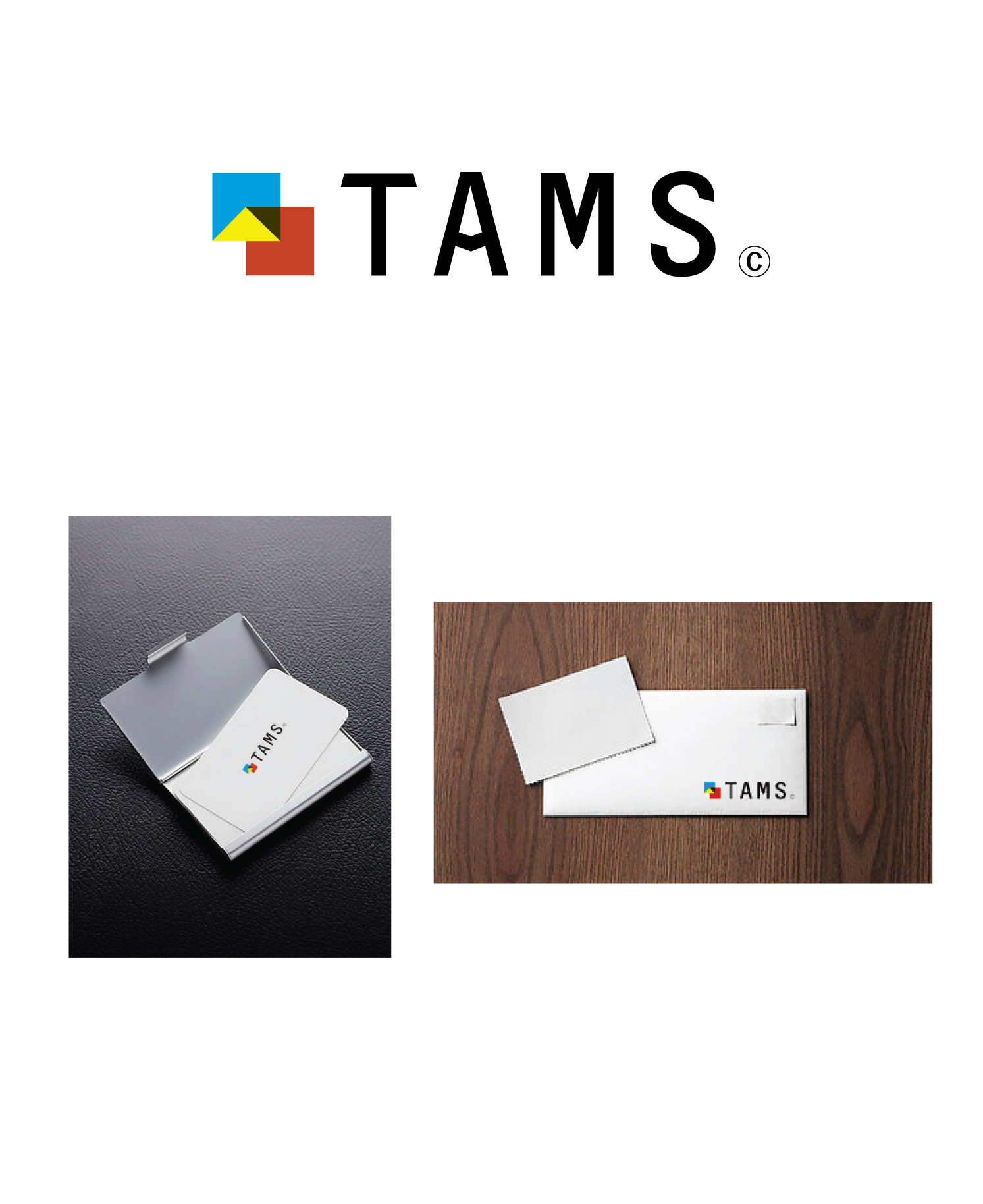 모르포닐의 TAMS 로고(CI) 의뢰합니다. 상세이미지