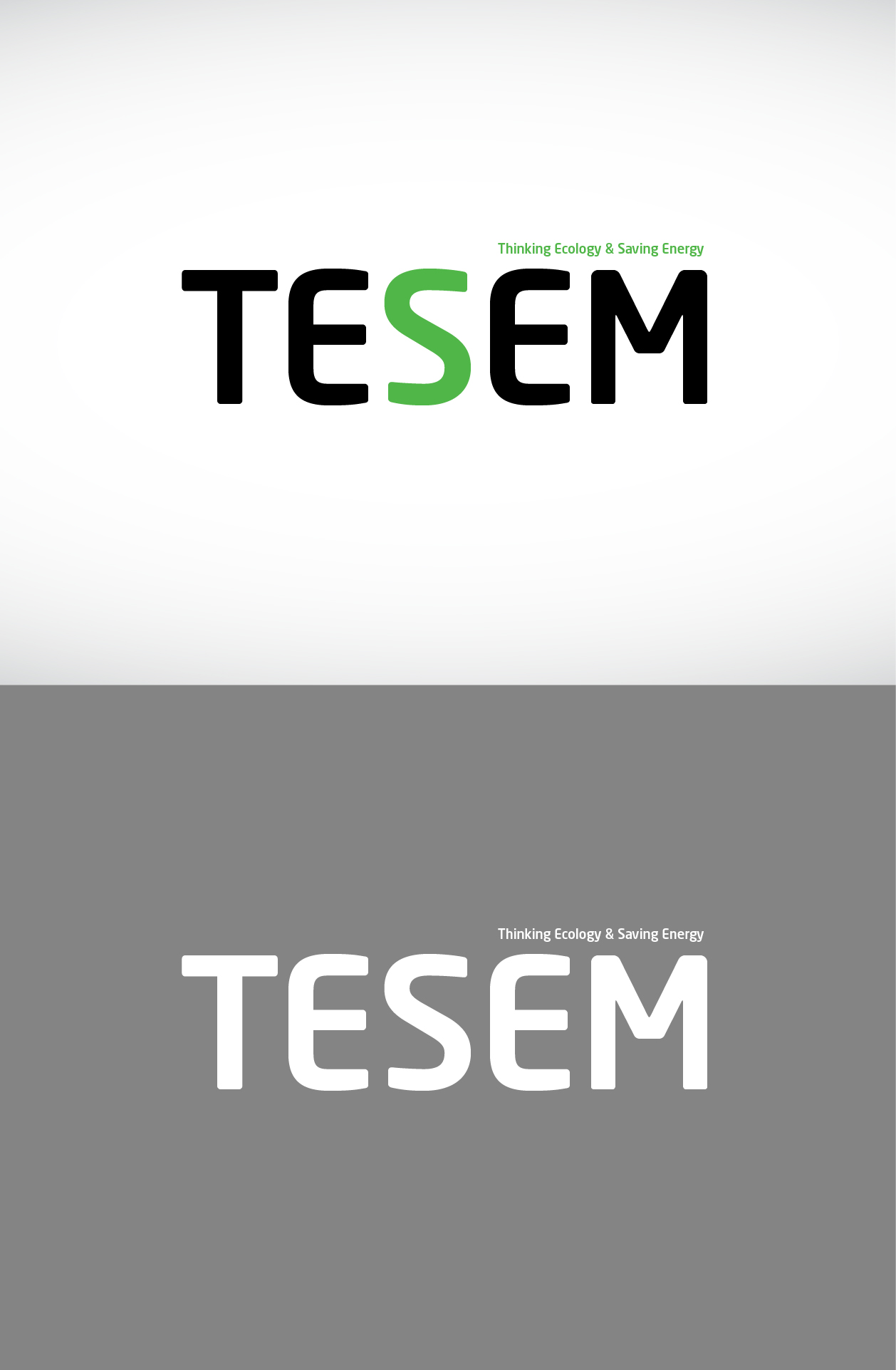 의 TESEM 심볼로고 제작의뢰합니다 상세이미지