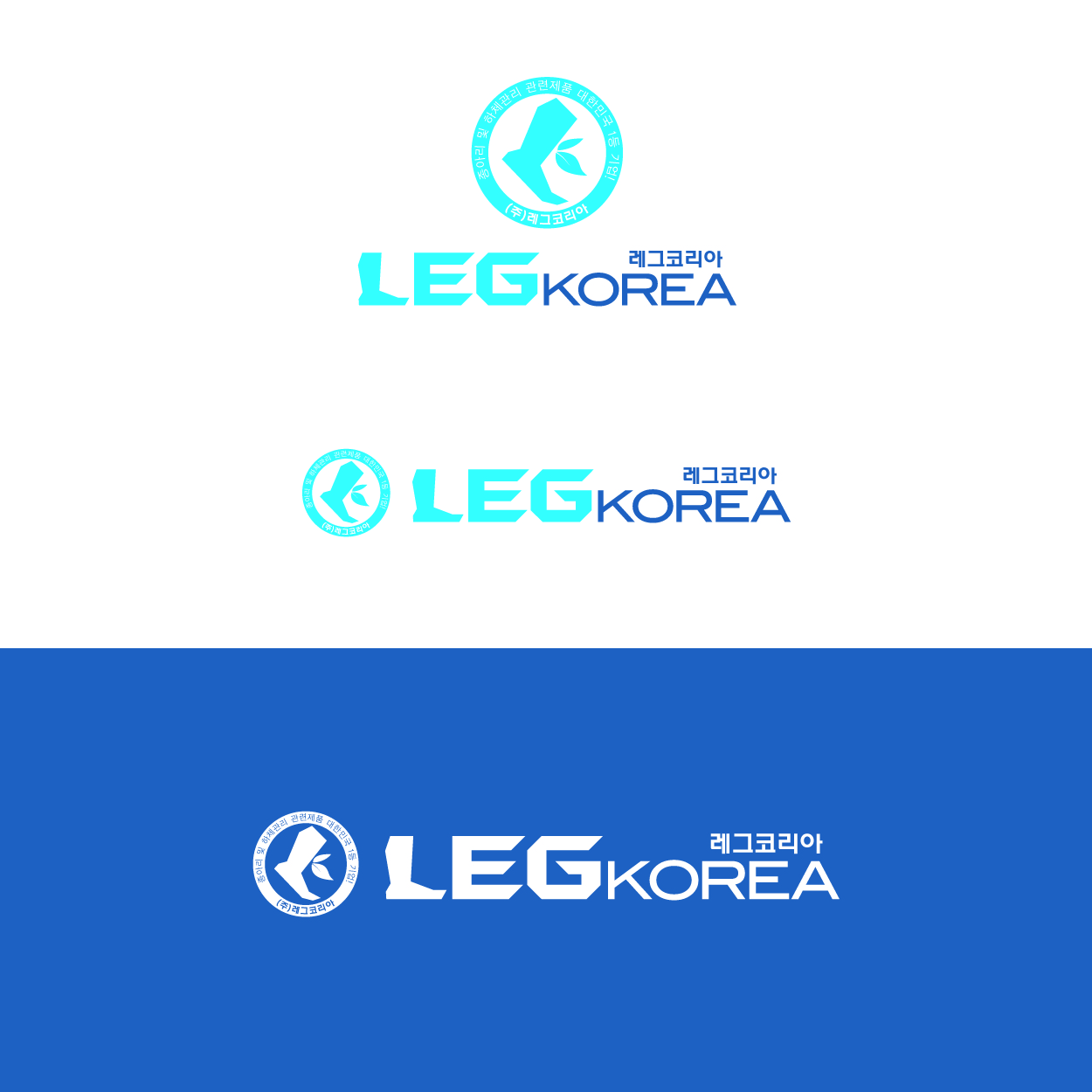 의 기능성 하체관리제품 전문기업 (주)레크코리아(LEGKOREA) CI 공모 상세이미지