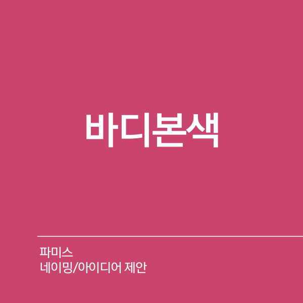 파미스 네이밍 디자인 2위 수상작