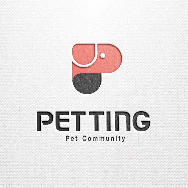 Pet ting(펫팅) 로고 디자인 1위 수상작