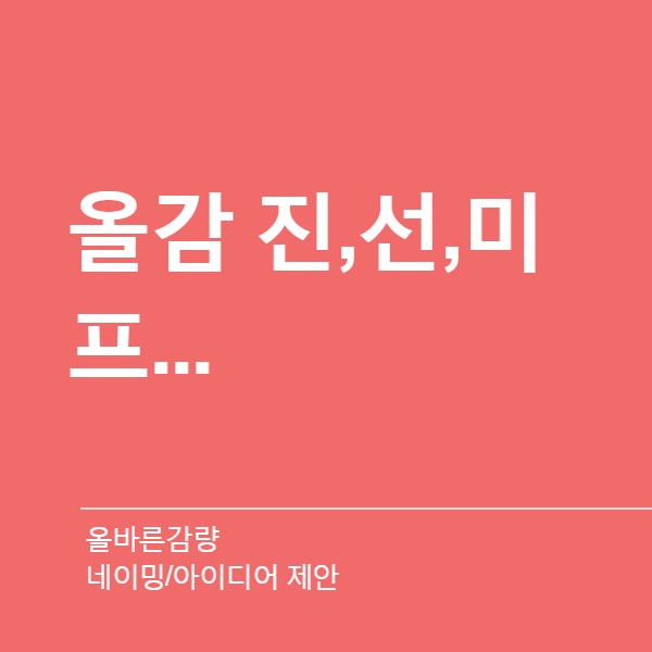 올바른감량 네이밍 디자인 1위 수상작