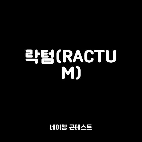 미정 네이밍 콘테스트 참여작 | 라우드소싱