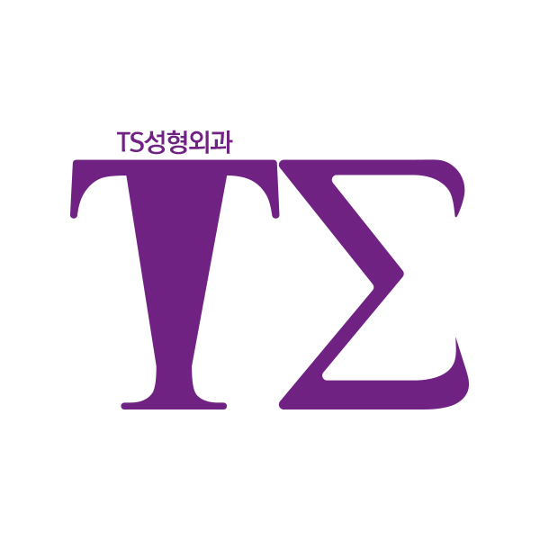 탈퇴회원의 티에스성형외과 로고 디자인 의뢰 상세이미지