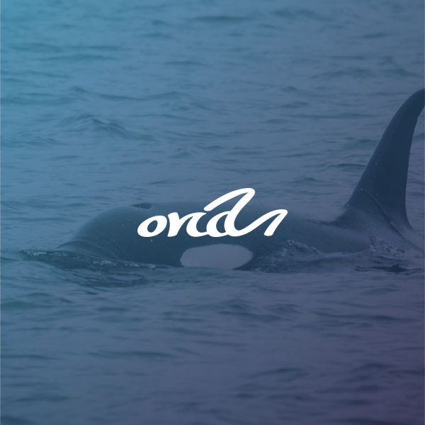 디자인팀올카(DESIGN TEAM orca) 로고 디자인 1위 수상작