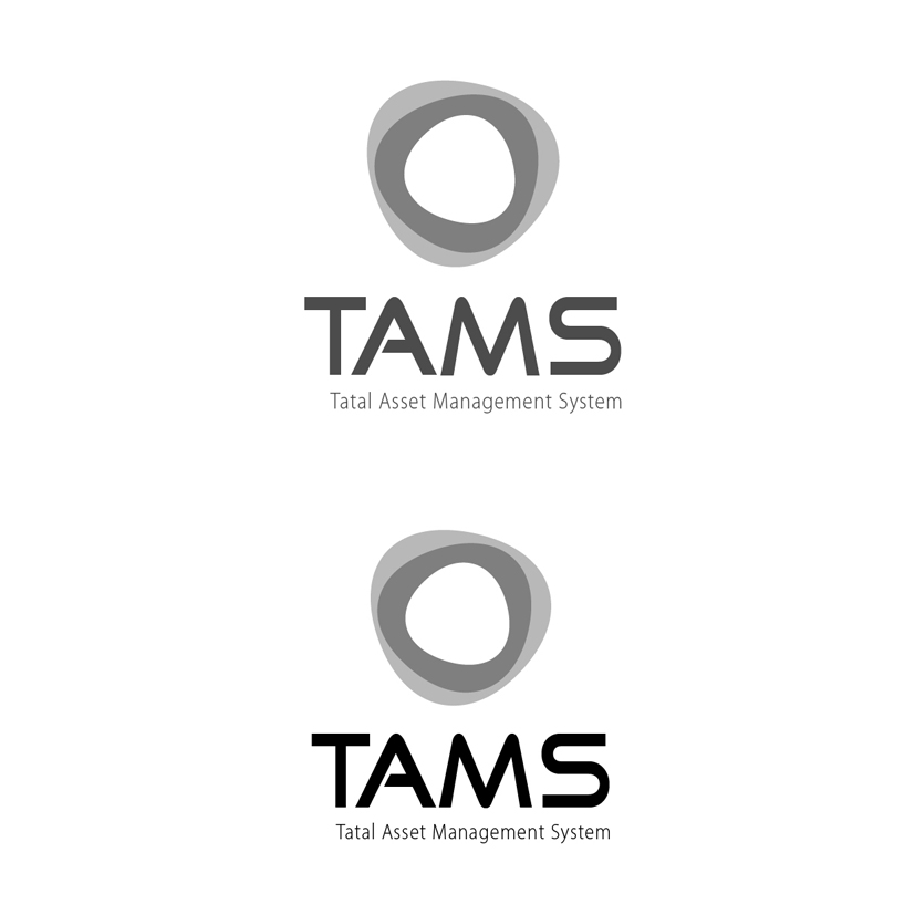 의 TAMS 로고(CI) 의뢰합니다. 상세이미지