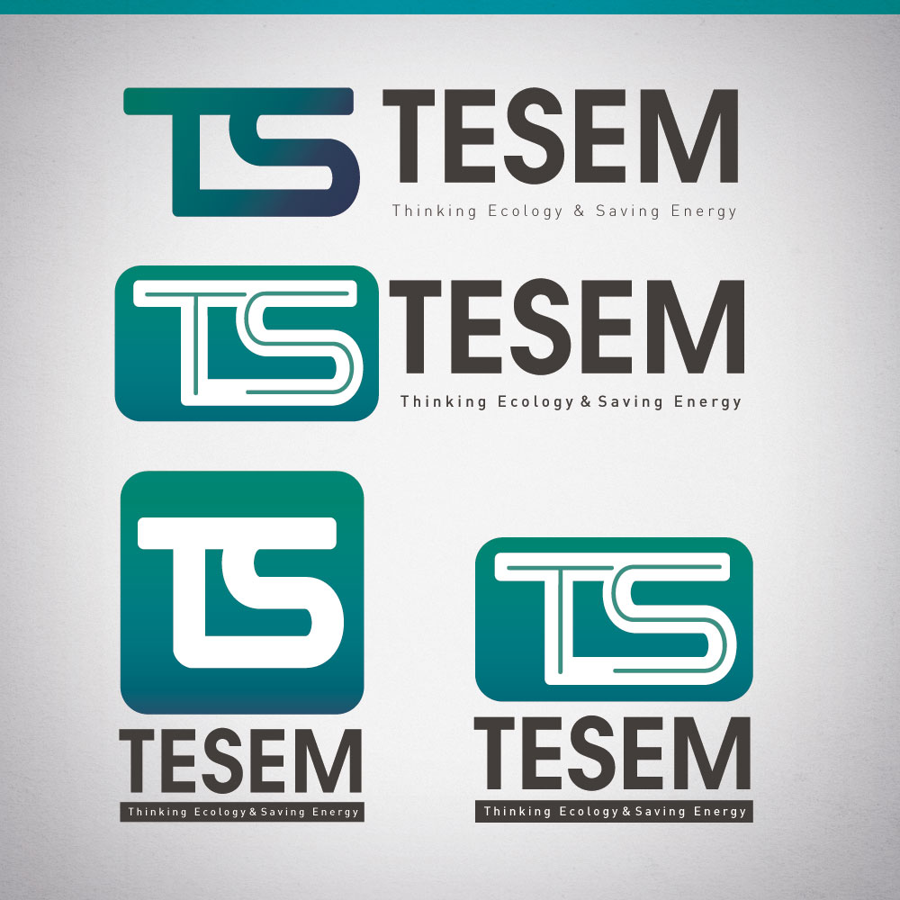 의 TESEM 심볼로고 제작의뢰합니다 상세이미지