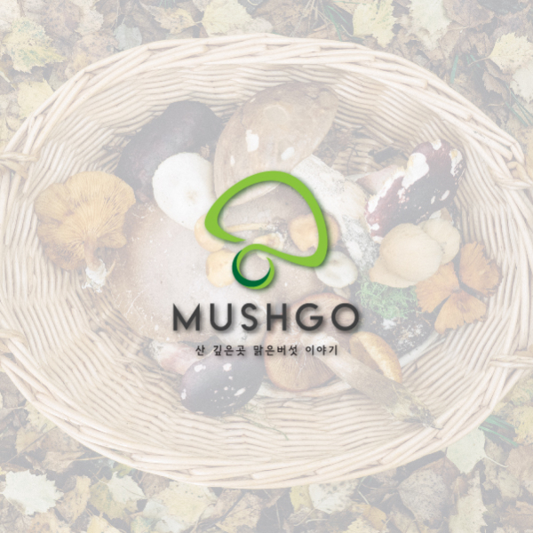 머시고 (MUSHGO) 로고 디자인 1위 수상작