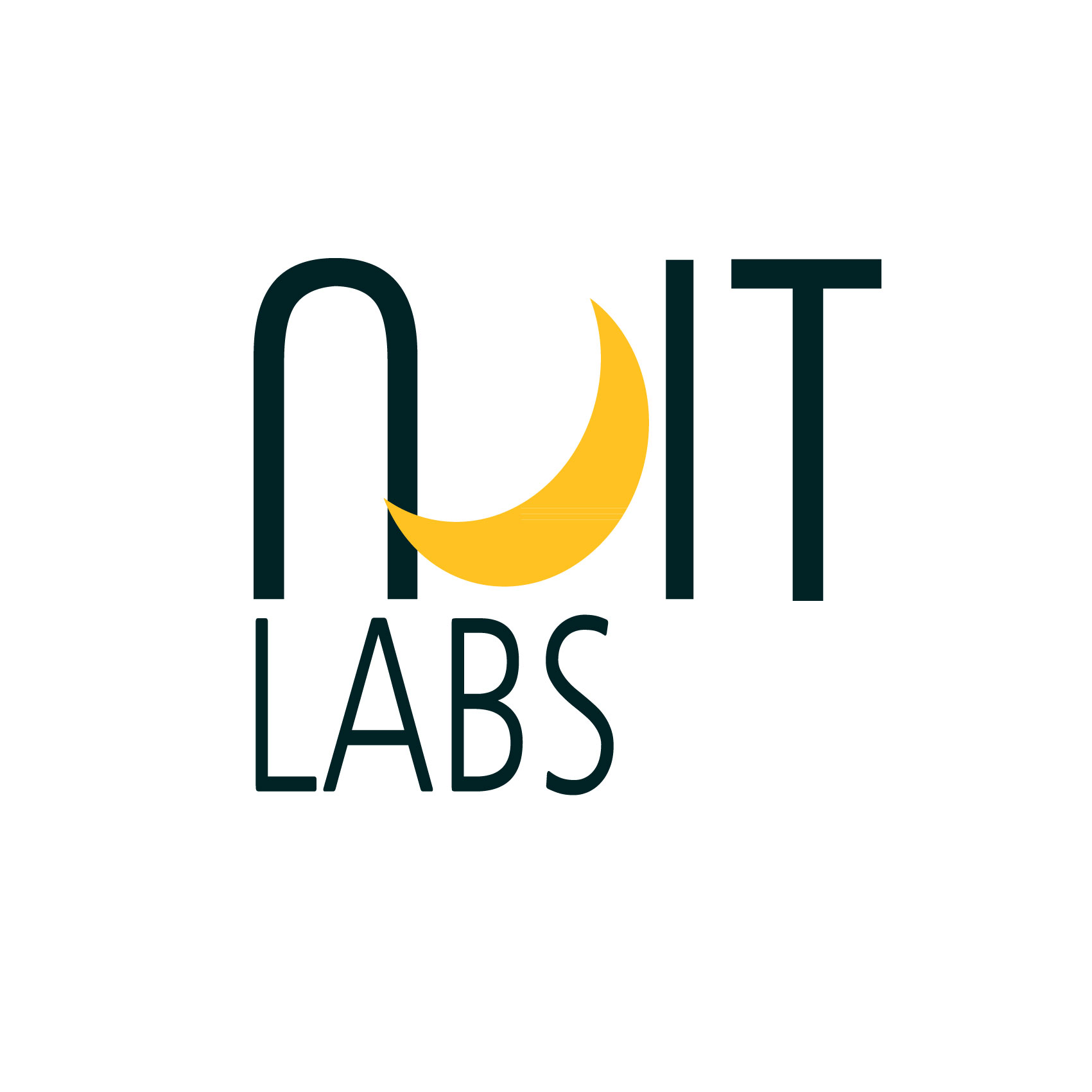 의 NUIT LABS : 로고 디자인 의뢰합니다. 상세이미지