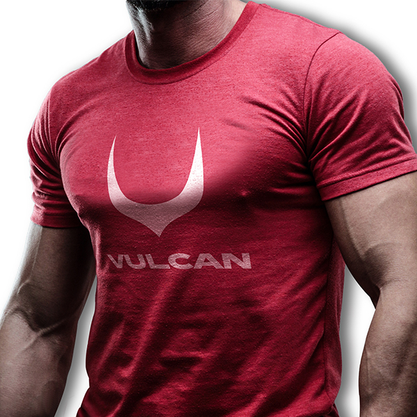 VULCAN  로고 디자인 1위 수상작