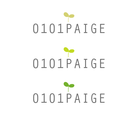 의 0101PAIGE 로고 디자인 의뢰 상세이미지