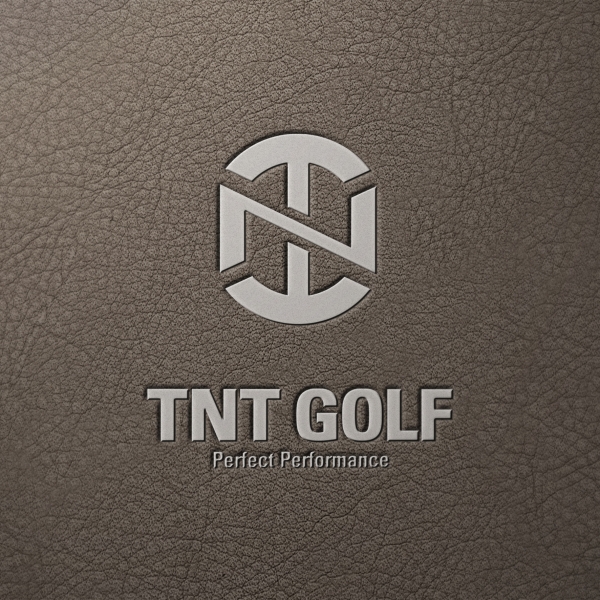 TNT GOLF 로고+명함 디자인 1위 수상작
