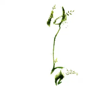 portfolio-designer-avatar