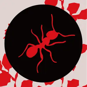 portfolio-designer-avatar