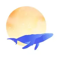 portfolio-designer-avatar