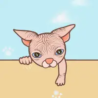 portfolio-designer-avatar