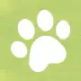 portfolio-designer-avatar